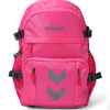 Urban Explorer Pink Laptop Backpack - Hummel India