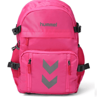 Urban Explorer Pink Laptop Backpack - Hummel India