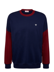 Ic Parker Sweatshirt