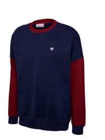 Ic Parker Sweatshirt