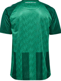 Werder Bremen 24/25 Home Jersey S/S