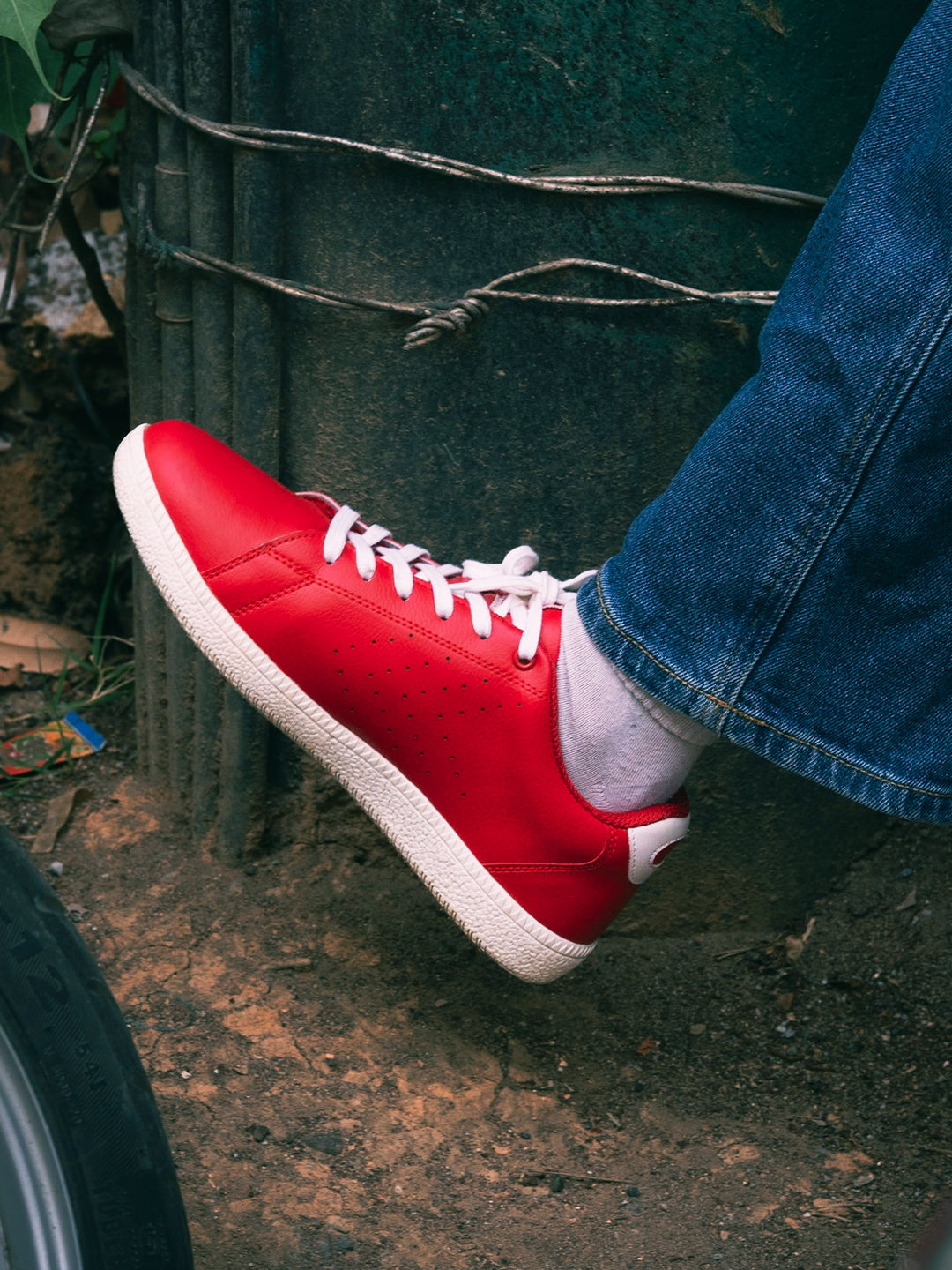 Pinnacle - Women Casual Sneakers